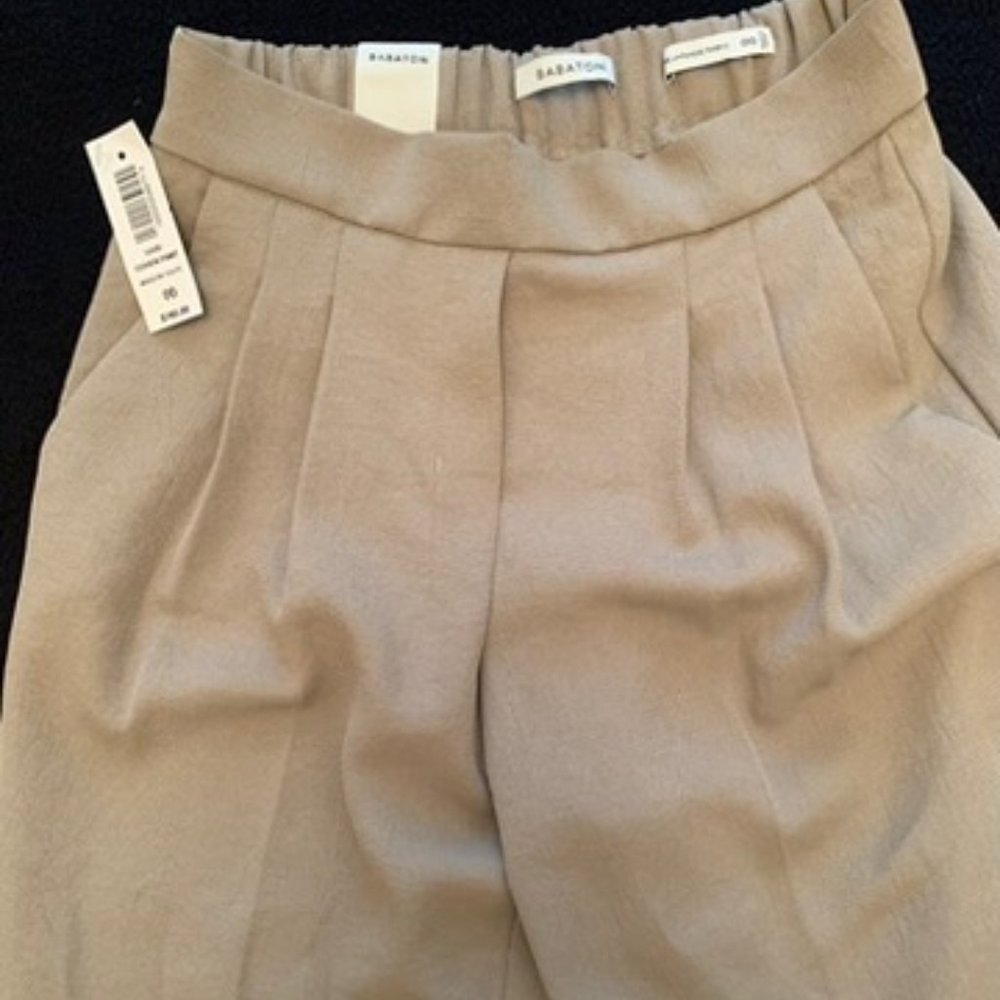 Babaton High-Waist Pleated Trousers in Beige